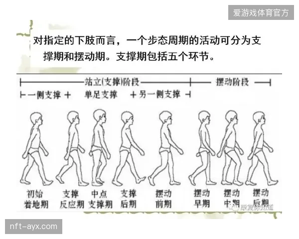 骨科医生根本不看生物力学团队的步态数据，体院与医院之间依然横亘着巨大的认知鸿沟